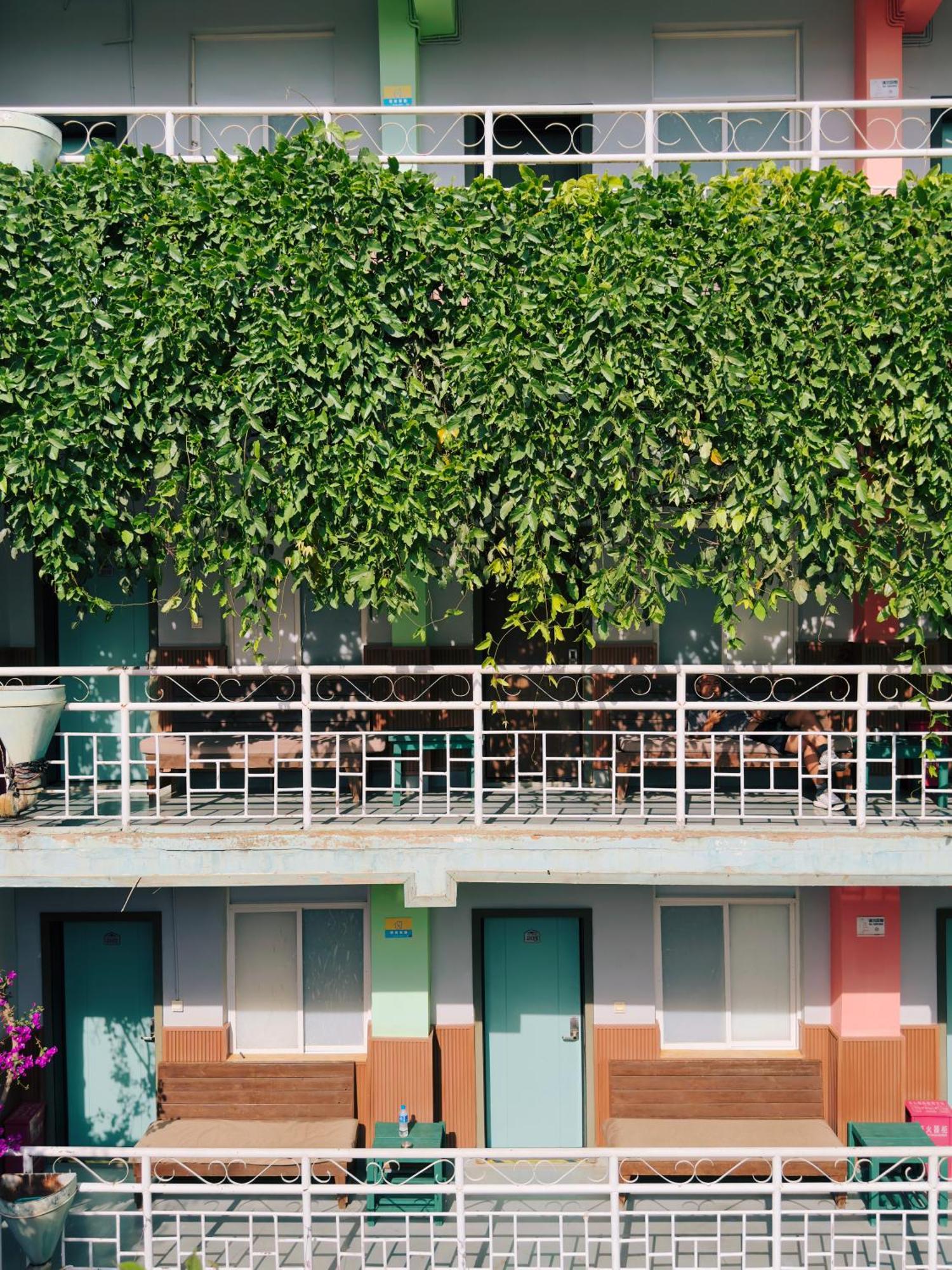 The Cloudland International Youth Hostel Close To The City Center,10 Min Walks To The Subway, Close To The Night Market, Old Street, Green Lake, English-Speaking Service, Free Activity Convenient Payment And Visa Cards Are Accepted Kunming Luaran gambar
