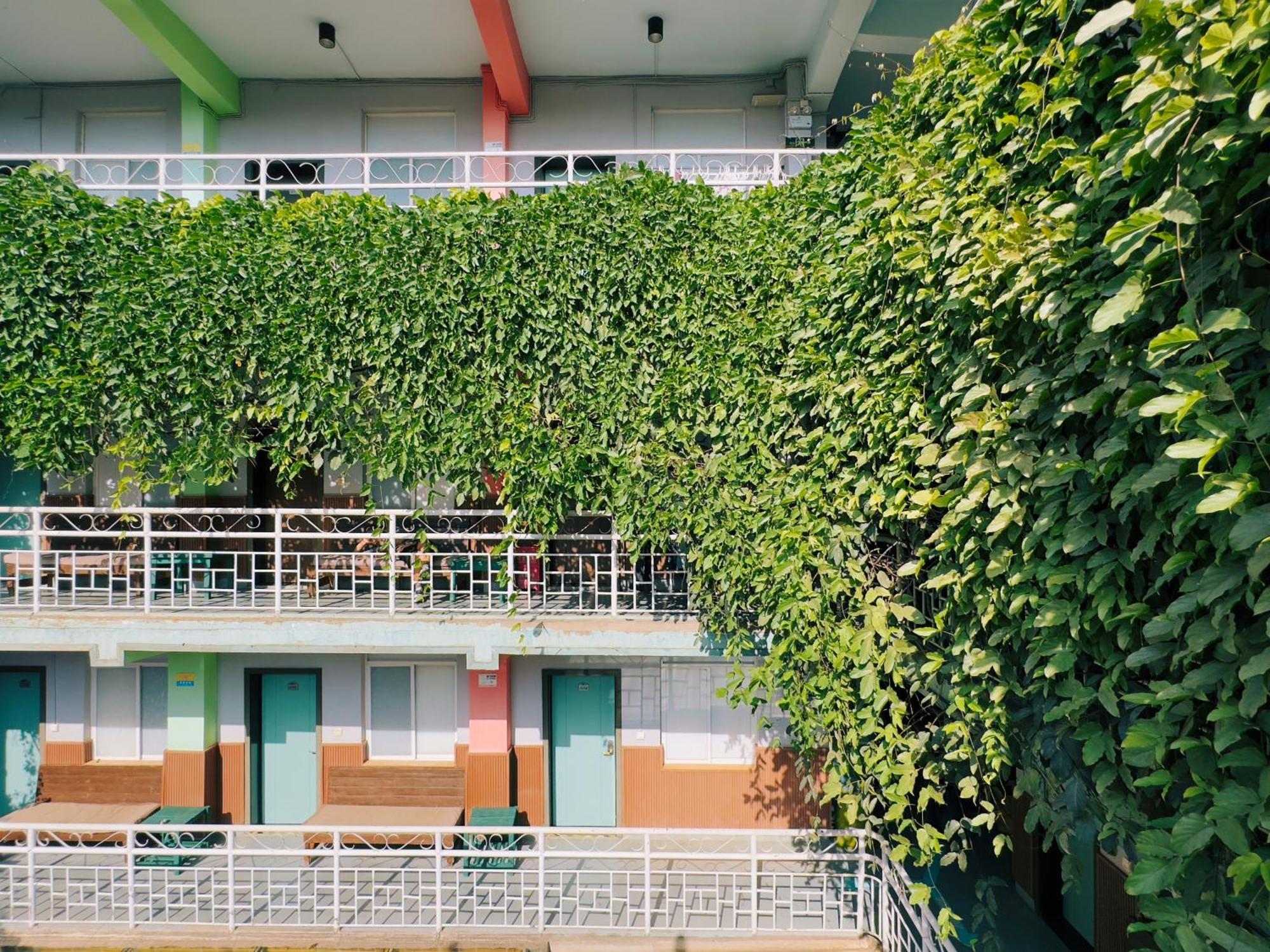 The Cloudland International Youth Hostel Close To The City Center,10 Min Walks To The Subway, Close To The Night Market, Old Street, Green Lake, English-Speaking Service, Free Activity Convenient Payment And Visa Cards Are Accepted Kunming Luaran gambar