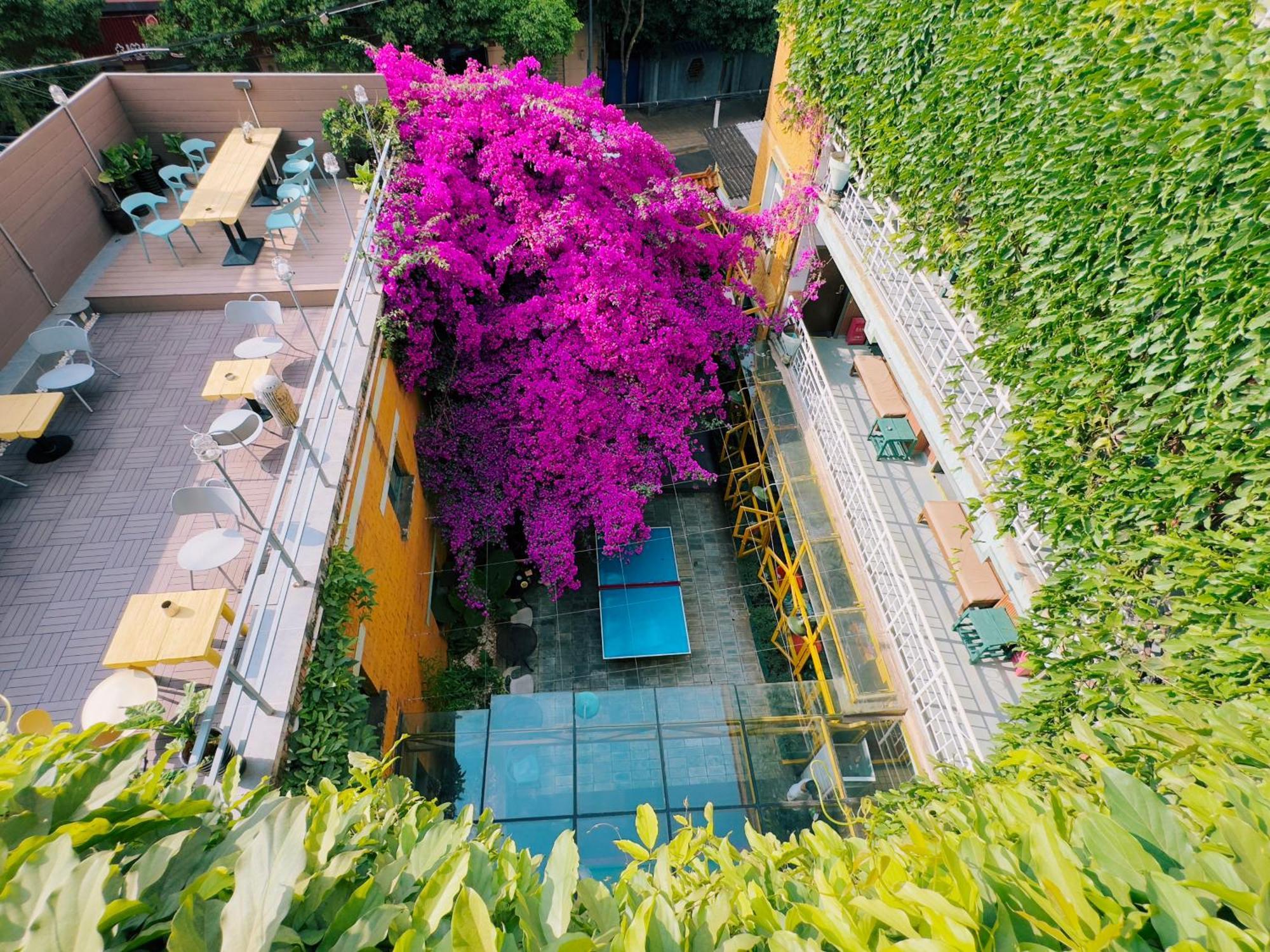 The Cloudland International Youth Hostel Close To The City Center,10 Min Walks To The Subway, Close To The Night Market, Old Street, Green Lake, English-Speaking Service, Free Activity Convenient Payment And Visa Cards Are Accepted Kunming Luaran gambar