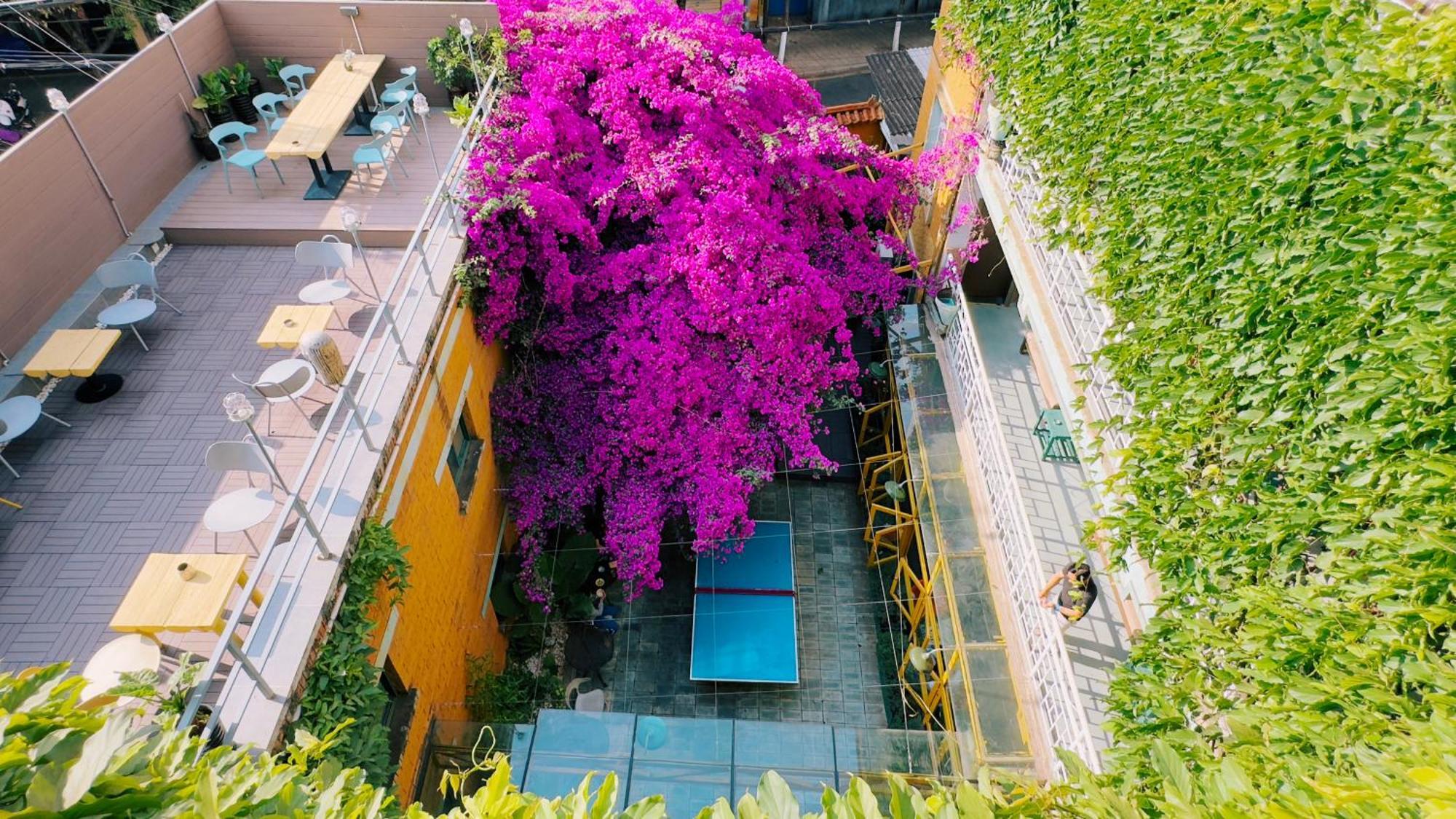 The Cloudland International Youth Hostel Close To The City Center,10 Min Walks To The Subway, Close To The Night Market, Old Street, Green Lake, English-Speaking Service, Free Activity Convenient Payment And Visa Cards Are Accepted Kunming Luaran gambar